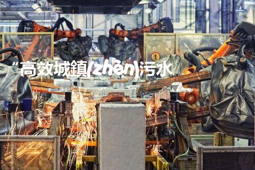 “高效城鎮(zhèn)污水處理流程，守護(hù)碧水藍(lán)天新篇章”